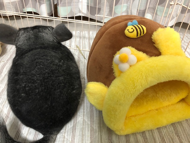チンチラちゃんの壺(多動飼いさん応援格安！2個セット) チンチラちゃんの壺(多動飼いさん応援格安！2個セット) （国産
